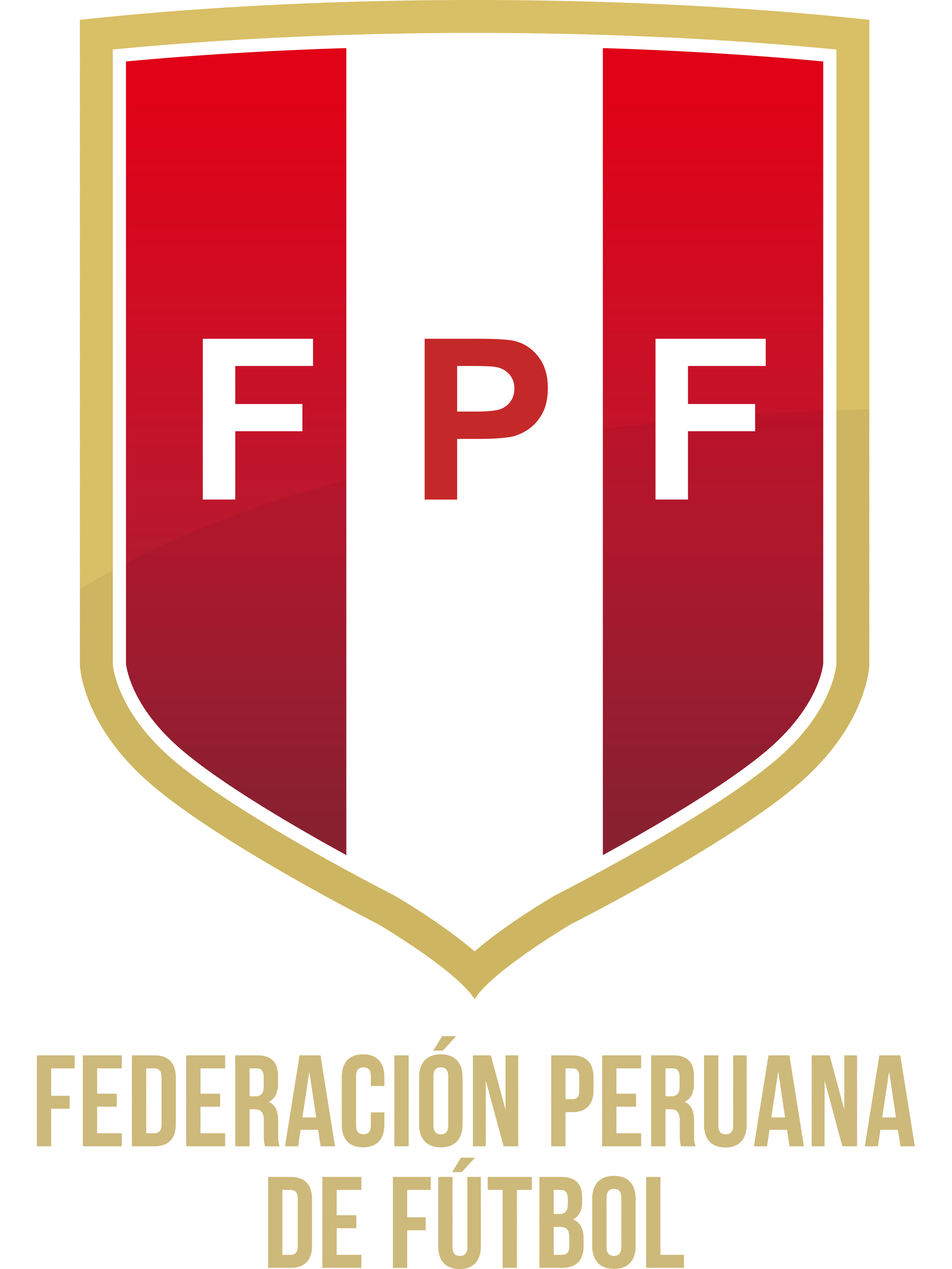 关于秘鲁队豪取欧预赛连胜，实力备受肯定的信息