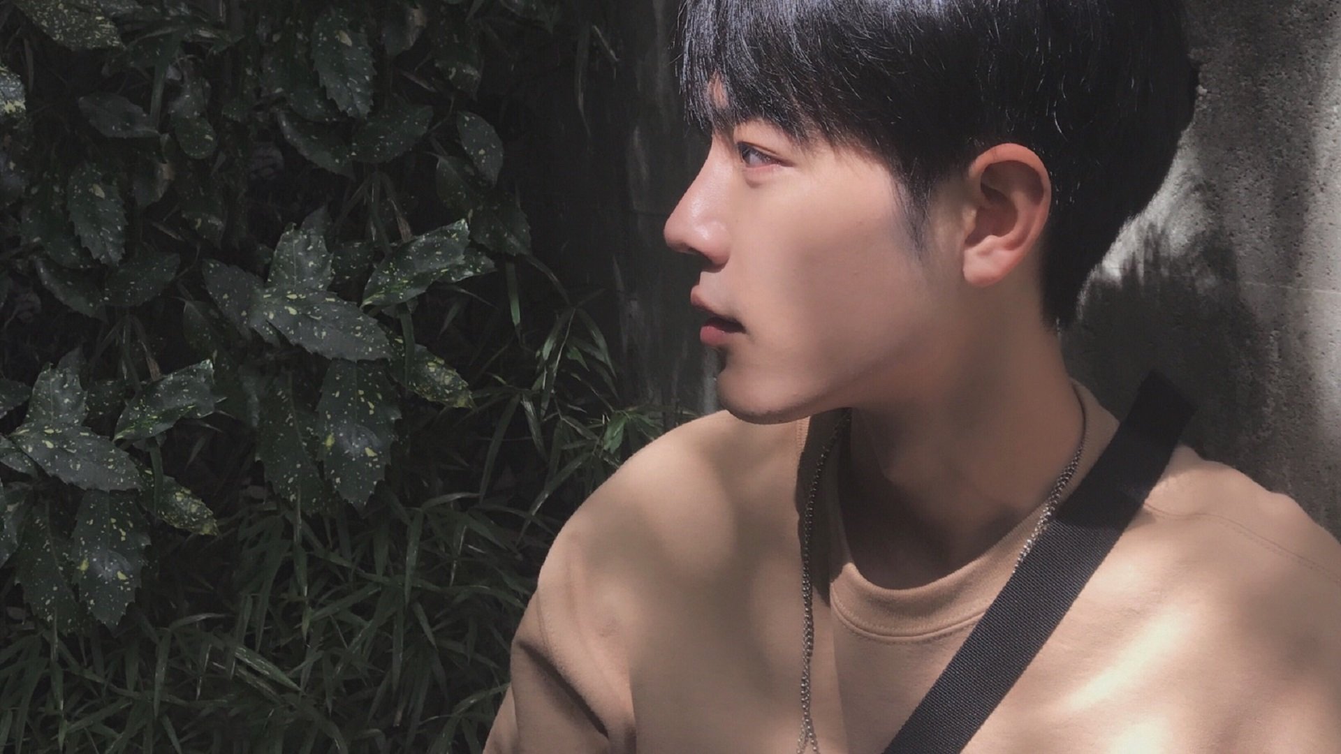 意甲焦点战之夜与恩比德的生涯之夜,体育世界的激情交响