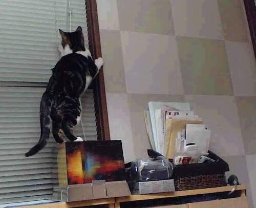 足球的双重震撼，伊拉克强行终结冰岛，苏亚雷斯在西甲国家德比接管比赛