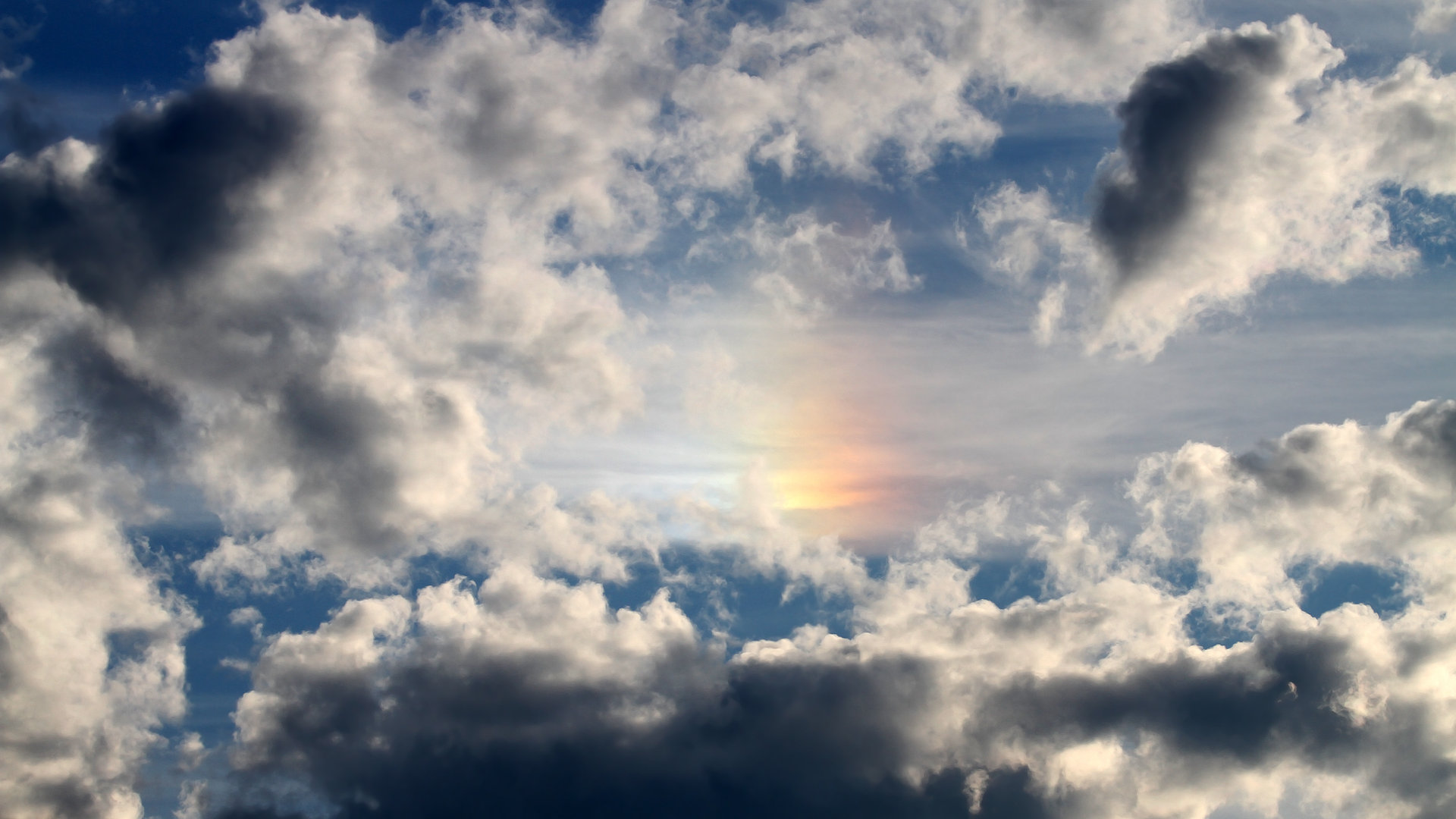 冰封狼群！克莱生死战压制级三分雨浇灭森林狼