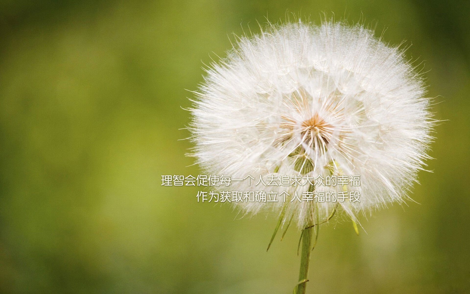 巴尔韦德全面压制！土耳其3-0沙特背后，天才中场如何彻底掌控比赛？