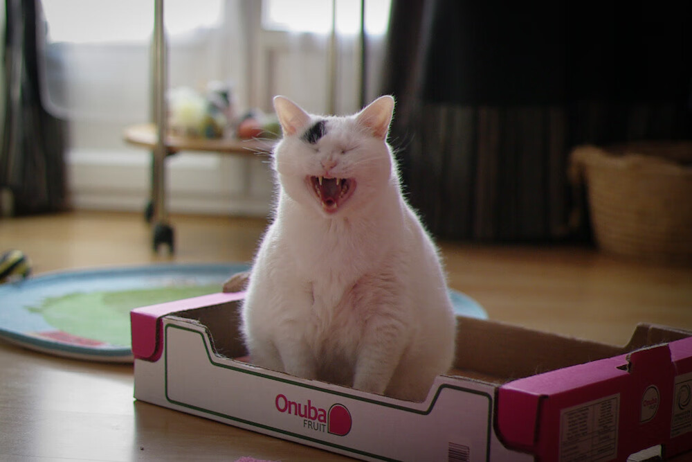 库里掀翻防守魔术，当进攻成为艺术，无人可挡的篮球革命