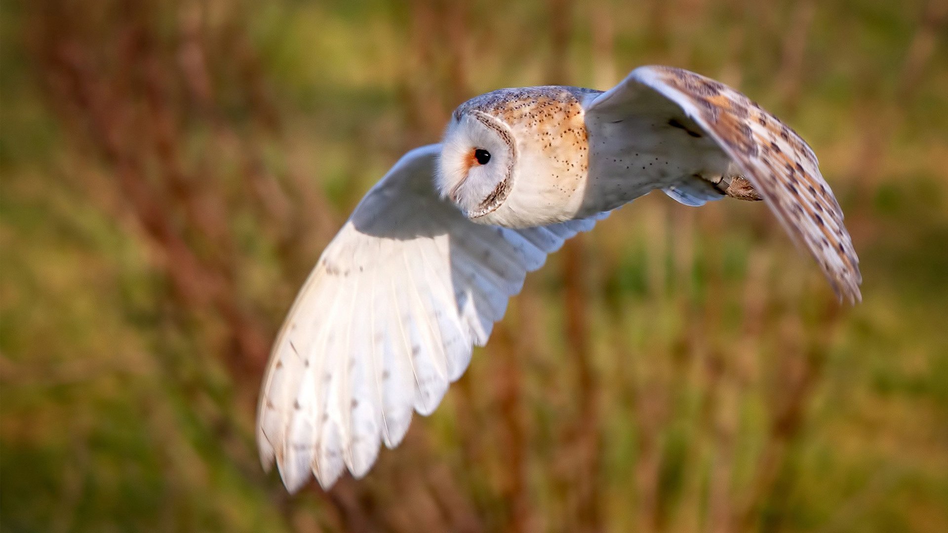 姆巴佩闪耀年度焦点之战夜,全场瞩目之星