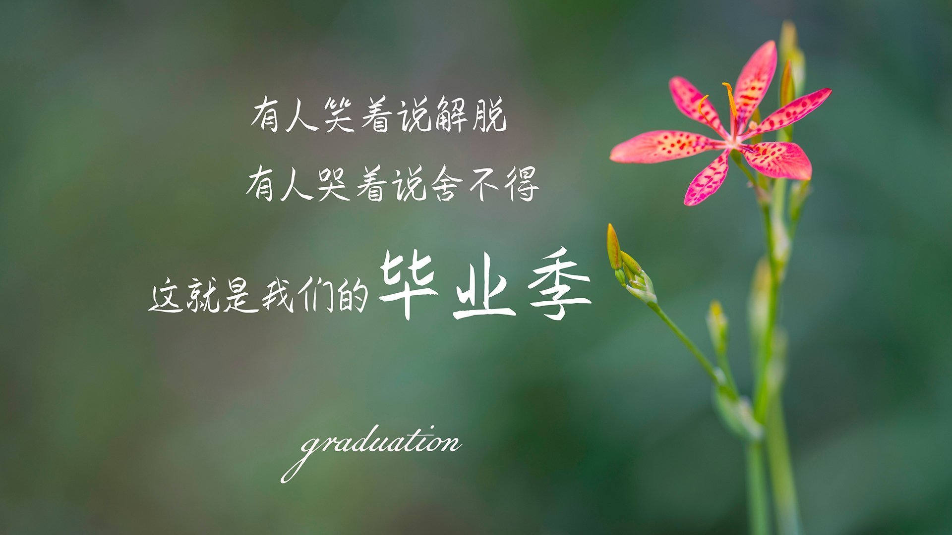 瑞士强势逆袭西班牙，格列兹曼关键先生闪耀赛场