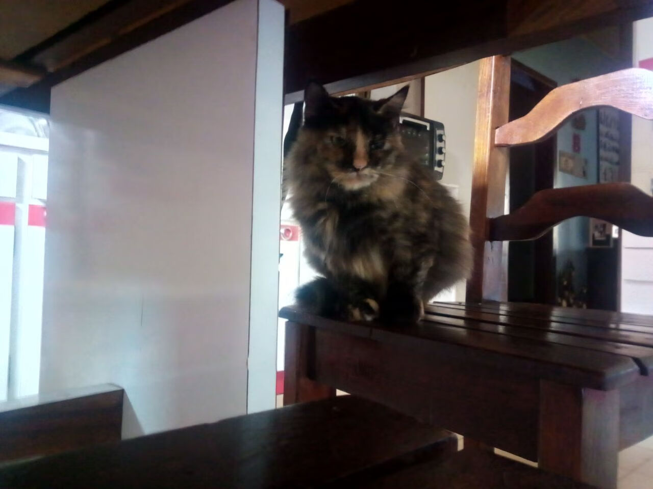 加时鏖战，英雄本色，里昂险胜牙买加，阿尔瓦雷斯再现大场面先生传奇